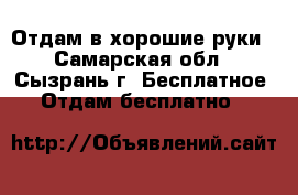 Отдам в хорошие руки - Самарская обл., Сызрань г. Бесплатное » Отдам бесплатно   